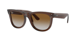 Transparent Brown Frame | Brown Lens