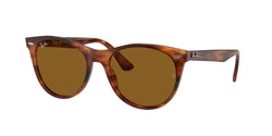 954/33 Striped Havana Frame | Brown Classic B-15 Lens