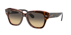 1324BG Havana ON Transparent Pink Frame | Brown/Blue Gradient Lens