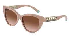 83523B Solid Nude Frame | Brown Gradient Lens