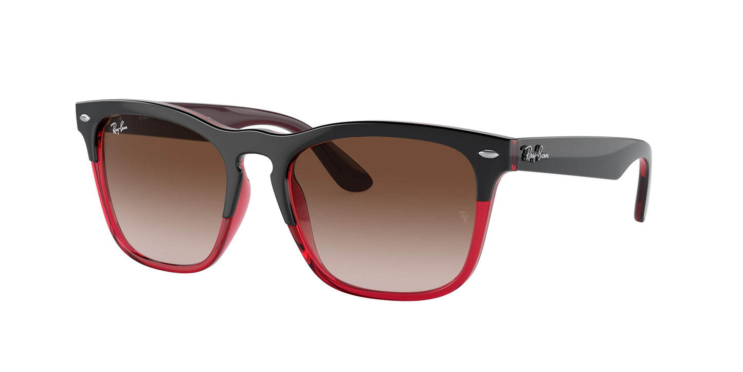 Ray-Ban RB4487 STEVE