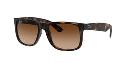 710/13 Rubber Light Havana Frame | Dark Brown Lens