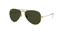 L0205 Arista Frame | Green Lens