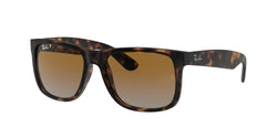 865/T5 Rubber Havana Frame | Brown/Grey Lens