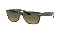 894/76 Matte Havana Frame | Blue/Green Lens