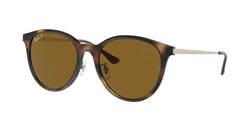 Light Havana Frame | Brown Lens