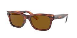 954/33 Striped Havana Frame | Brown Lens