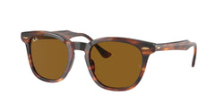 954/33 Striped Havana Frame | Brown Lens