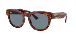 Striped Havana Frame | Blue Lens