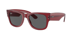 Transparent Red Frame | Dark Grey Lens