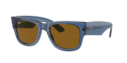 Transparent Blue Frame | Brown Lens