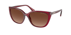 5800T5 Transparent Bordeaux Frame | Polar Light Brown Gradient Lens