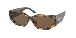 151973 Dark Tortoise Frame | Brown Solid Lens