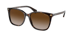 50033B Shiny Dark Havana Frame | Gradient Brown Lens