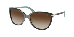 601/13 Shiny Havana ON Acquamarine Frame | Gradient Brown Lens