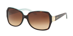 601/13 Havana Frame | gradient brown Lens