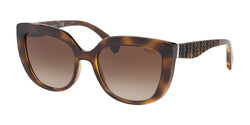 500313 Havana Frame | Brown Gradient Lens