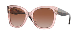 282813 Pink Transparent Frame | Brown Gradient Lens