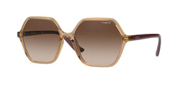 282613 Transparent Caramel Frame | Brown Gradient Lens