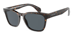 5879R5 Havana Frame | Blue Lens