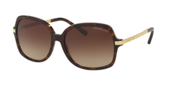 310613 Dark Tortoise Frame | brown gradient Lens