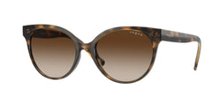 W65613 Dark Havana Frame | Brown Gradient Lens