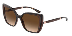 318513 Havana ON Transparent Brown Frame | brown gradient dark brown Lens