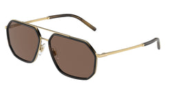 02/73 Gold / Havana Frame | Dark Brown Lens