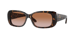 W65613 Dark Havana Frame | Brown Gradient Lens