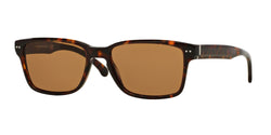 501673 Tortoise Frame | Brown Lens