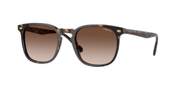 W65613 Dark Havana Frame | Brown Gradient Lens