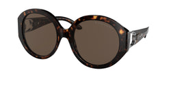 500373 Shiny Dark Havana Frame | Brown Lens