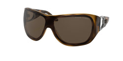 500373 Shiny Dark Havana Frame | Brown Lens