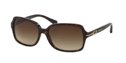 500113 Dark Tortoise Frame | Brown Gradient Lens