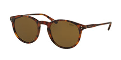 501773 Havana Frame | olive Lens