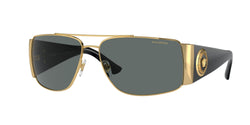 100281 Gold Frame | dark grey - polar Lens