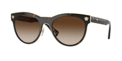 125213 Havana Frame | brown gradient dark brown Lens