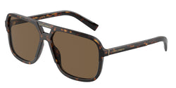 502/73 Havana Frame | brown gradient dark brown Lens