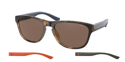 500373 Shiny Havana Frame | Brown Lens