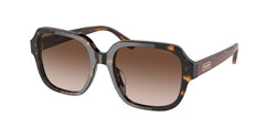 512013 Dark Tortoise Frame | Brown Gradient Lens