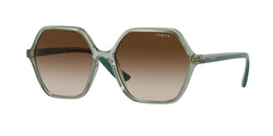 302213 Transparent Light Green Frame | Gradient Brown Lens