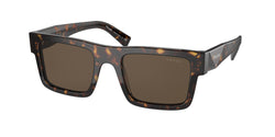 2AU8C1 Tortoise Frame | Dark Brown Lens