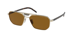 ZVN5Y1 Pale Gold Frame | Polar Dark Brown Lens