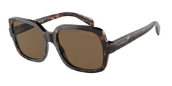 502673 Shiny Havana Frame | Dark Brown Lens