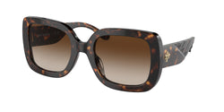 172813 Dark Tortoise Frame | Brown Gradient Lens