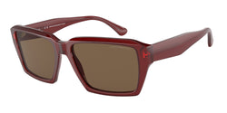 507573 Shiny Transparent Red Frame | Dark Brown Lens