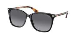 6037T3 Shiny Black Frame | Polar Gradient Brown Lens