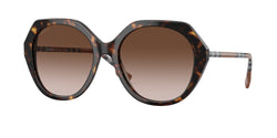 401713 Dark Havana Frame | Brown Gradient Lens