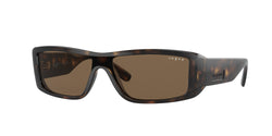 271873 Dark Havana Frame | Dark Brown Lens