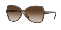 238613 Top Havana / Transparent Brown Frame | Gradient Brown Lens